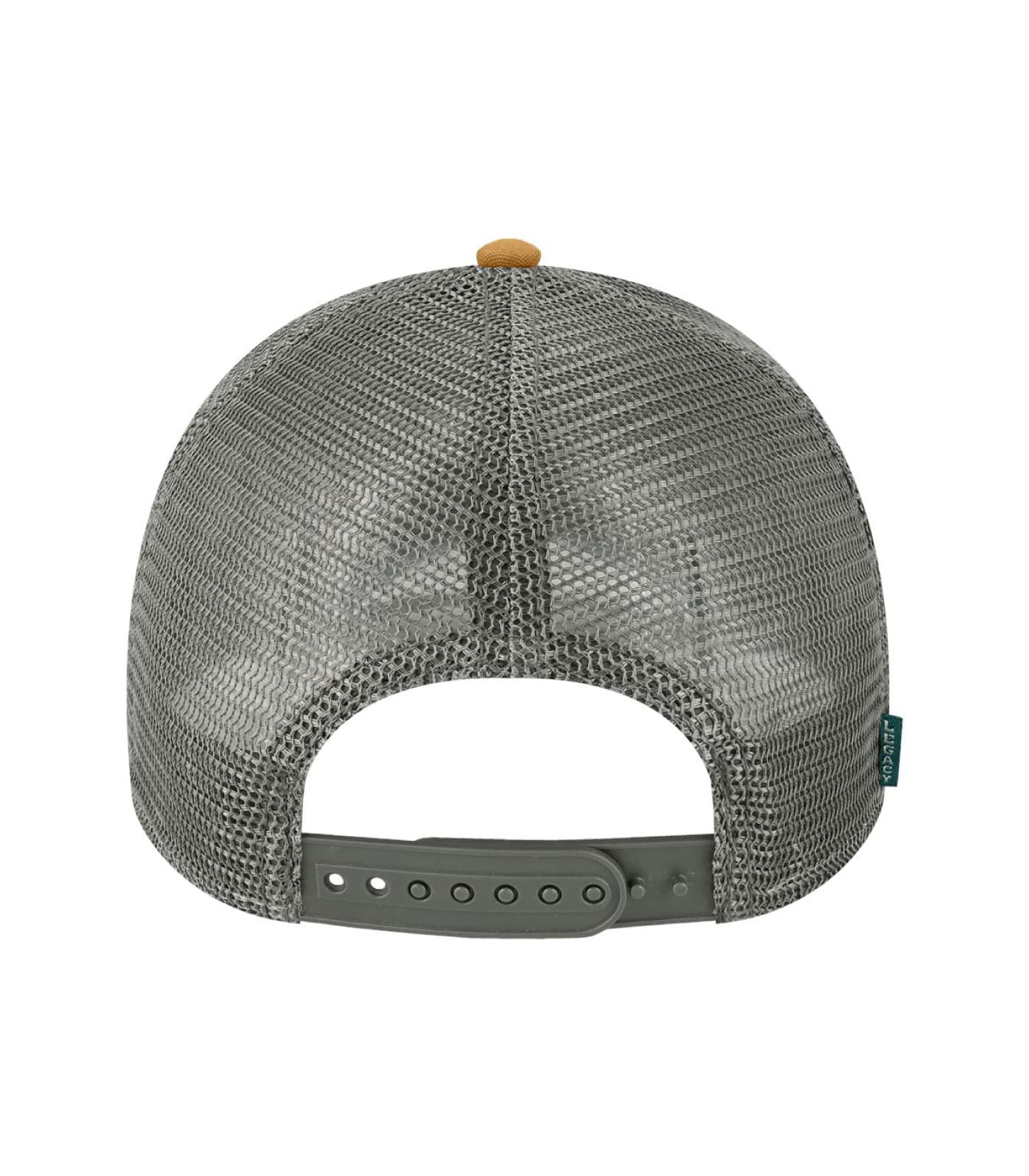 Legacy Cap - Image 2